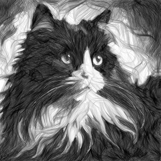 Ritratto Personalizzato Disegnato a Carboncino del tuo Gatto / Commissione per il tuo Gatto, Cane, e Animali Domestici / Arte da parete / Regalo per amante degli animali / Vendita Online / Galleria Papiarte ®