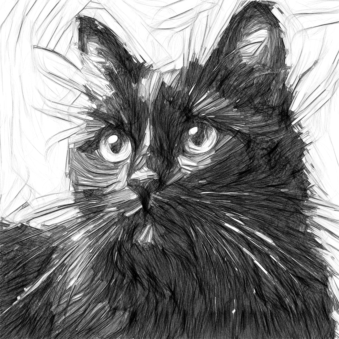 Ritratto Personalizzato Disegnato a Carboncino del tuo Gatto / Commissione per il tuo Gatto, Cane, e Animali Domestici / Arte da parete / Regalo per amante degli animali / Vendita Online / Galleria Papiarte ®