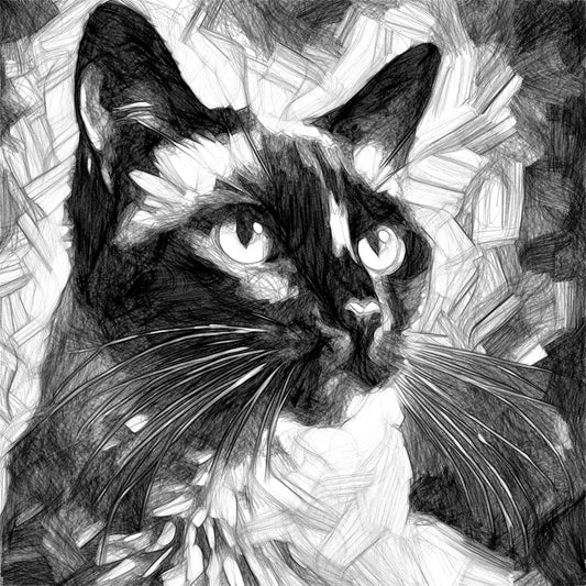 Ritratto Personalizzato Disegnato a Carboncino del tuo Gatto / Commissione per il tuo Gatto, Cane, e Animali Domestici / Arte da parete / Regalo per amante degli animali / Vendita Online / Galleria Papiarte ®