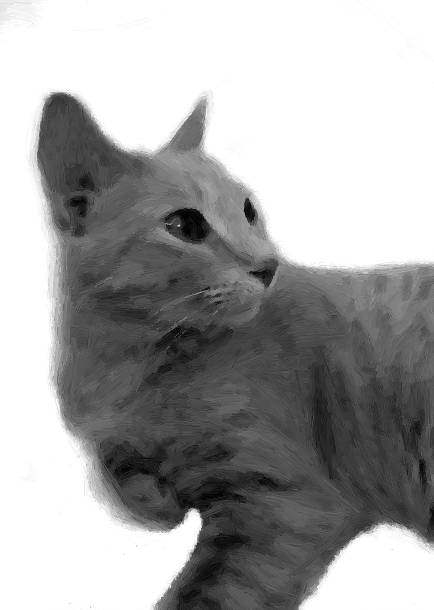 Ritratto Personalizzato Disegnato a Carboncino del tuo Gatto / Commissione per il tuo Gatto, Cane, e Animali Domestici / Arte da parete / Regalo per amante degli animali / Vendita Online / Galleria Papiarte ®