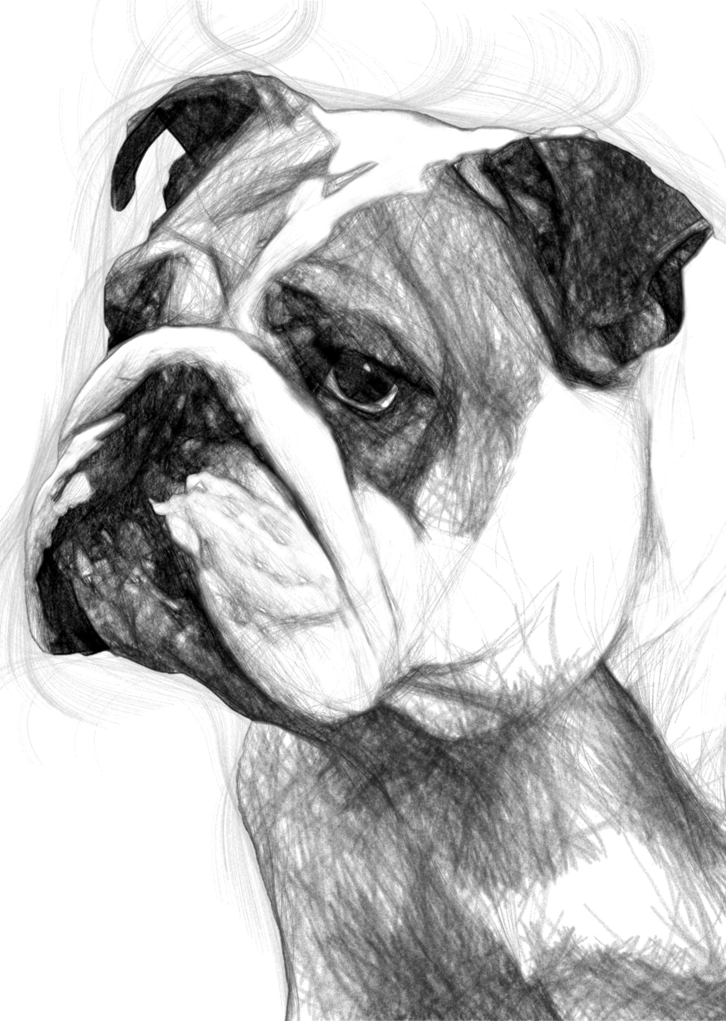 Ritratto Personalizzato Disegnato a Carboncino del tuo cane / Commissione per il tuo Gatto, Cane, e Animali Domestici / Arte da parete / Regalo per amante degli animali / Vendita Online / Galleria Papiarte ®