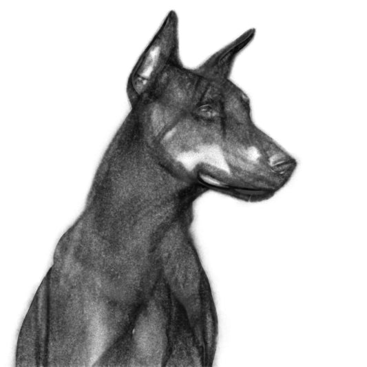 Ritratto Personalizzato Disegnato a Carboncino del tuo cane / Commissione per il tuo Gatto, Cane, e Animali Domestici / Arte da parete / Regalo per amante degli animali / Vendita Online / Galleria Papiarte ®