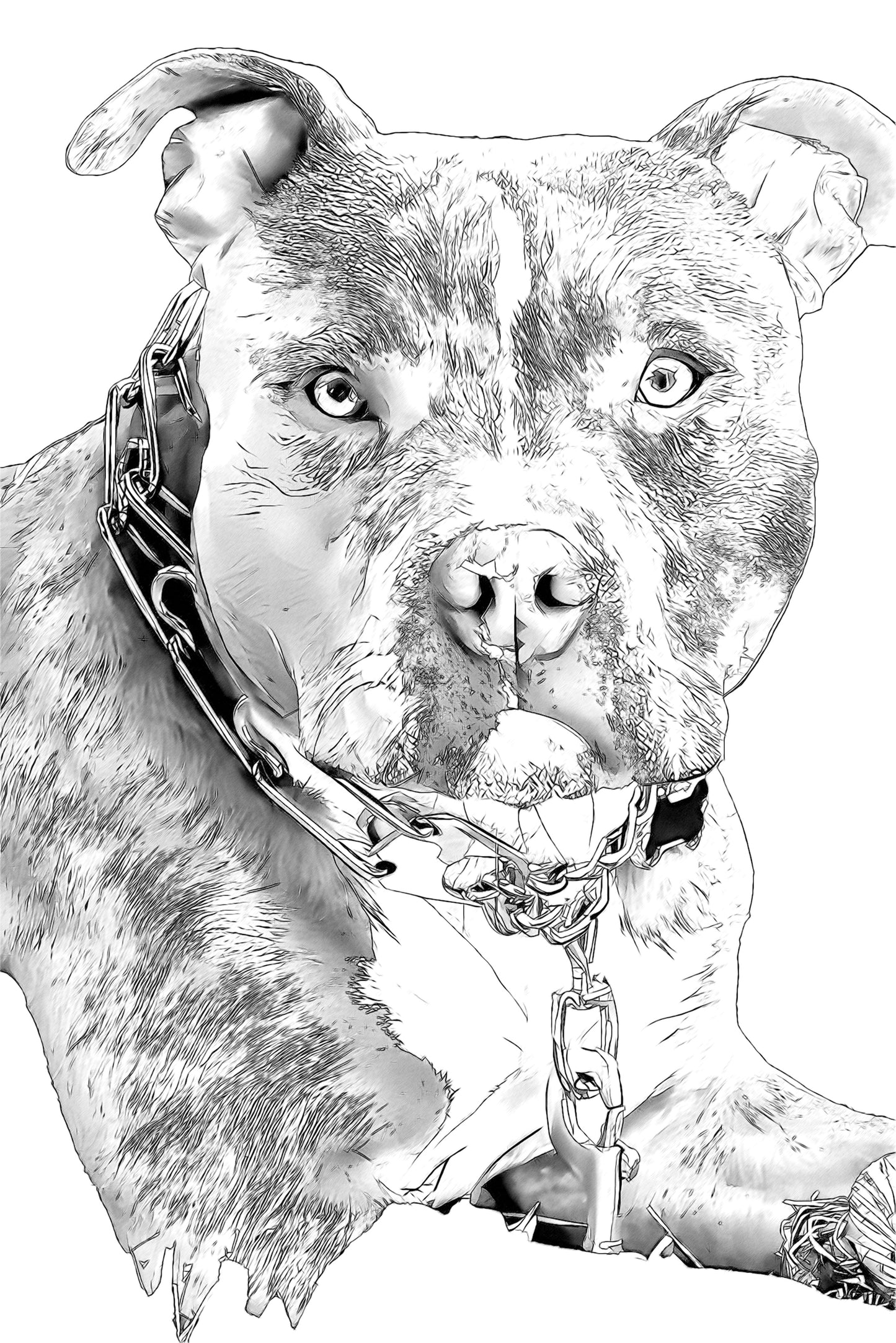 Ritratto Personalizzato Disegnato a Carboncino del tuo cane / Commissione per il tuo Gatto, Cane, e Animali Domestici / Arte da parete / Regalo per amante degli animali / Vendita Online / Galleria Papiarte ®