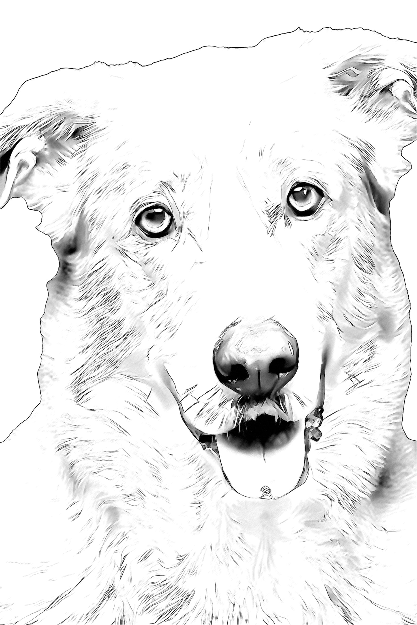 Ritratto Personalizzato Disegnato a Carboncino del tuo cane / Commissione per il tuo Gatto, Cane, e Animali Domestici / Arte da parete / Regalo per amante degli animali / Vendita Online / Galleria Papiarte ®