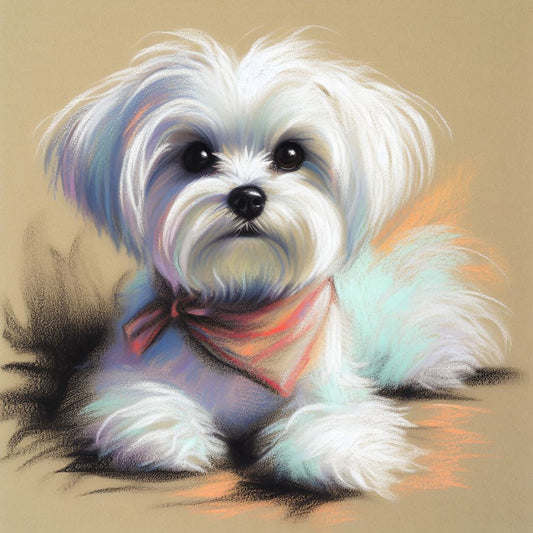 Stampa di un mio dipinto a Pastello di un ritratto di un Cane Maltese, Arte STAMPABILE,  illustrazione arte animale, Download Digitale, eseguito da Papiarte® Art. w295L