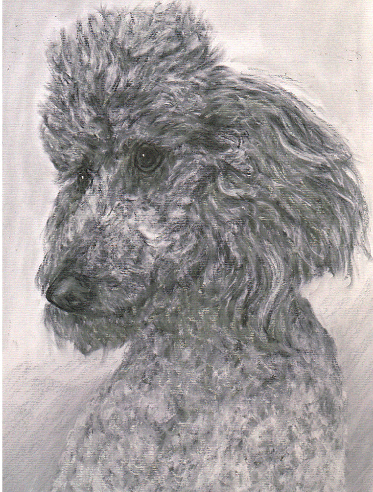 Personalized pastel portrait from your photograph of Dogs, Cats, all pets PapiArte ® Gallery