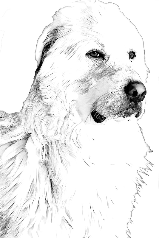 Ritratto Personalizzato Disegnato a Carboncino del tuo cane / Commissione per il tuo Gatto, Cane, e Animali Domestici / Arte da parete / Regalo per amante degli animali / Vendita Online / Galleria Papiarte ®