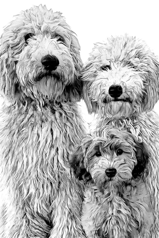 Ritratto Personalizzato Disegnato a Carboncino del tuo cane / Commissione per il tuo Gatto, Cane, e Animali Domestici / Arte da parete / Regalo per amante degli animali / Vendita Online / Galleria Papiarte ®