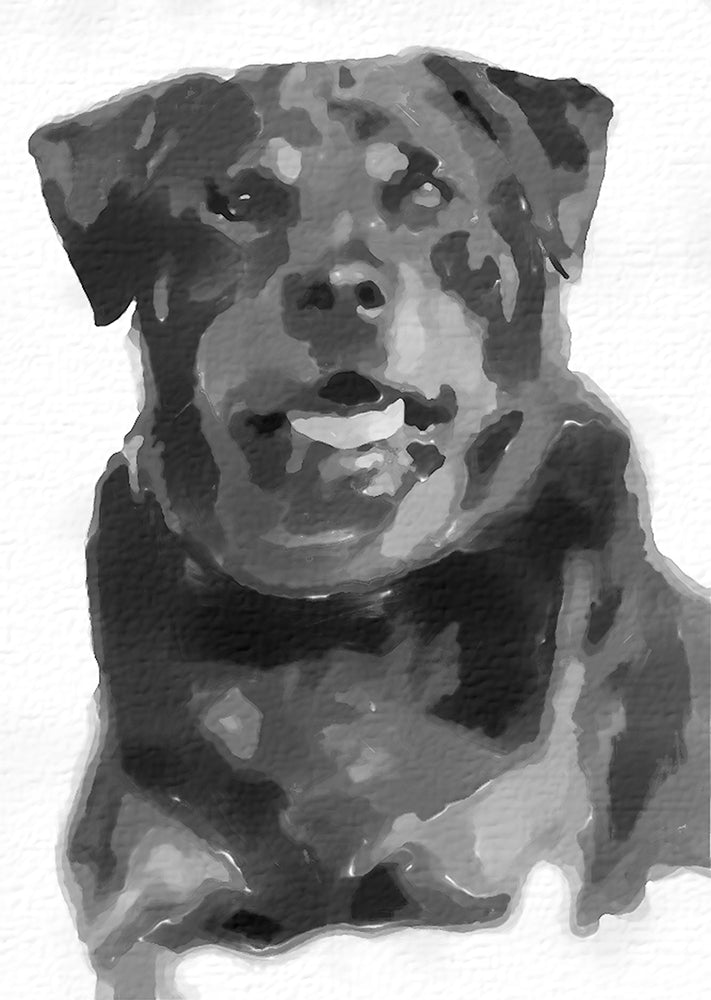 Ritratto Personalizzato Disegnato a Carboncino del tuo cane / Commissione per il tuo Gatto, Cane, e Animali Domestici / Arte da parete / Regalo per amante degli animali / Vendita Online / Galleria Papiarte ®